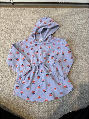 Hanna Andersson hoodie shirt